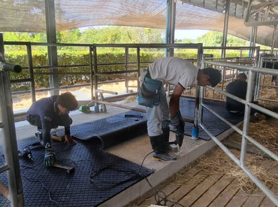 Dairy farm milking barn Saraburi Province